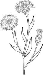 Similar image 22388956