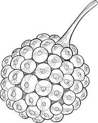 Similar image 22388959