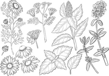 Similar image 22388960