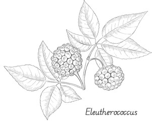 Similar image 22388969