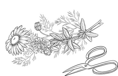 Similar image 22388971