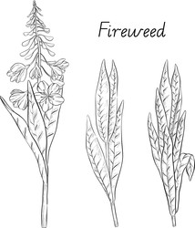 Similar image 22388974