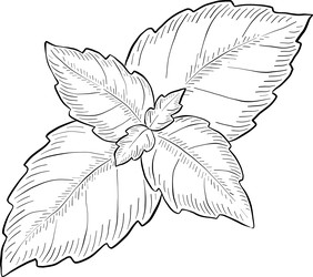 Similar image 22388977