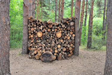 Similar image 22387690