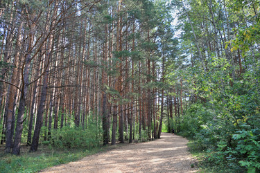 Similar image 22387691