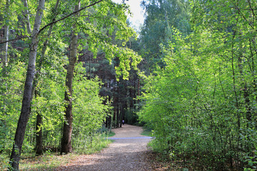 Similar image 22387692