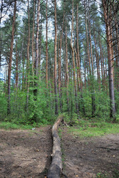 Similar image 22387694