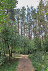 Similar image 22387696