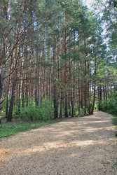 Similar image 22387697