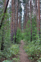 Similar image 22387699