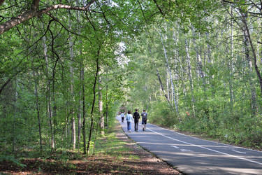 Similar image 22387700