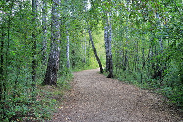 Similar image 22387701