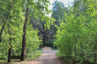 Similar image 22387702