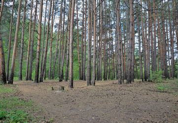 Similar image 22387704