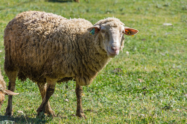 Similar image 22387195