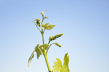 Similar image 22387712