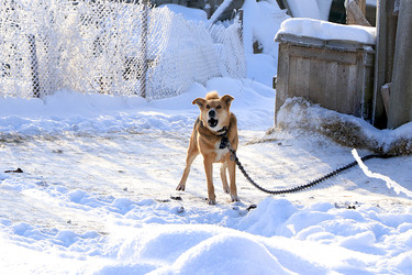 Similar image 22387670