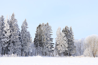 Similar image 22387672