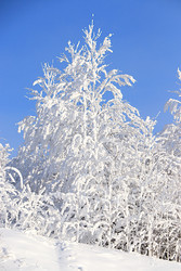 Similar image 22387673