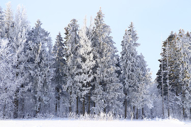 Similar image 22387674