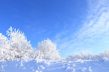 Similar image 22387675