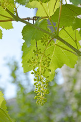 Similar image 22387721