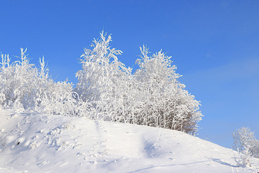 Similar image 22387677