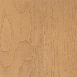 Similar image 22387076