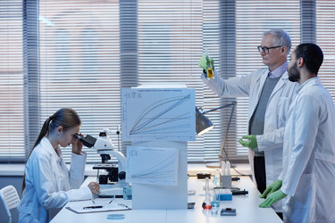 Similar image 22355486