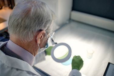 Similar image 22355511