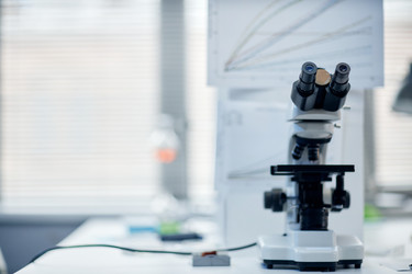 Similar image 22355491