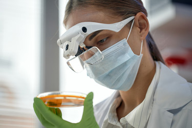 Similar image 22355517