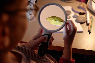 Similar image 22356090