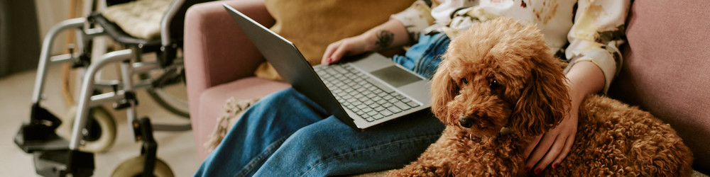 Similar image 22356665