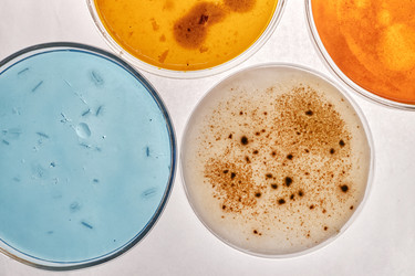 Similar image 22355529