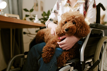 Similar image 22356682