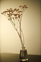 Similar image 22450528