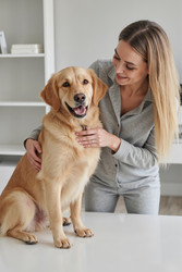 Similar image 22451229