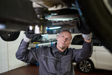 Similar image 22449459