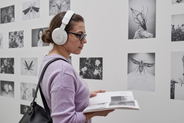 Similar image 22451210