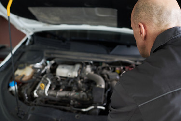 Similar image 22449414