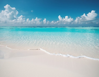 Similar image 22425884