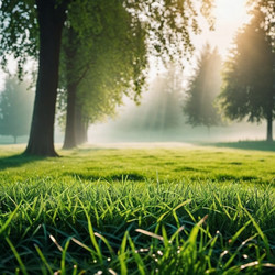 Similar image 22426058