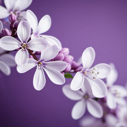 Similar image 22426260