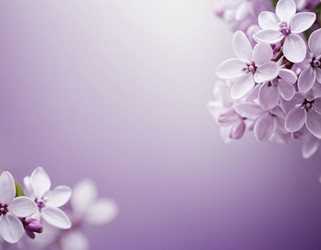 Similar image 22426269