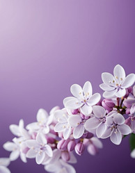 Similar image 22426274