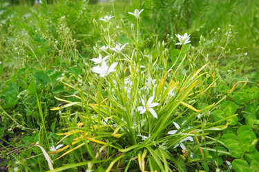 Similar image 22426383