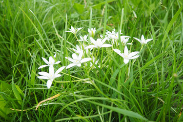 Similar image 22426384