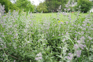 Similar image 22426386