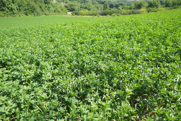 Similar image 22426466